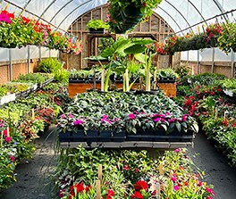 GARDEN SHOPPE